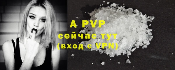 дживик Мегион