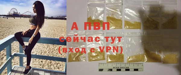 дживик Мегион